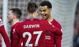 ������ ������ � ���� �����