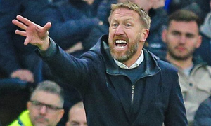 ���� ������