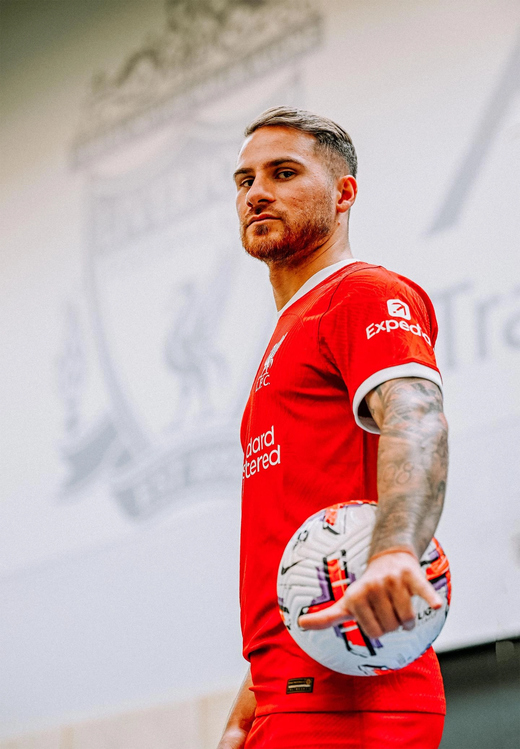 ������� �����������