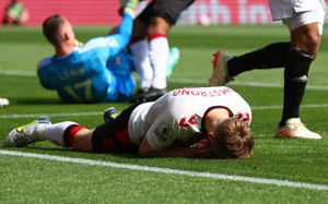 �����������