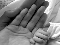 ������ �������