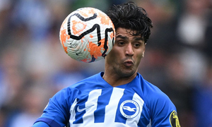 ������ ����