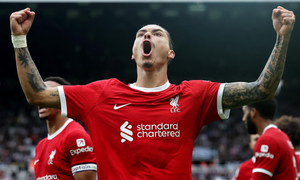 ������ ������