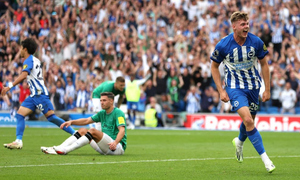 ���� ��������