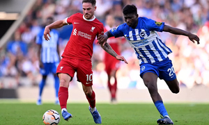 ������� ����������� � ������ ������