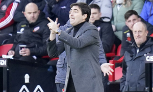 ������ ������