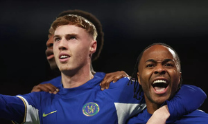 ���� ������