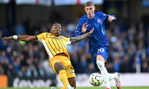 ���� ������