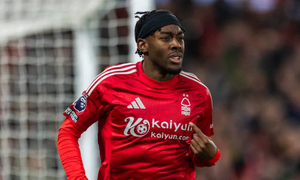 ������ ������