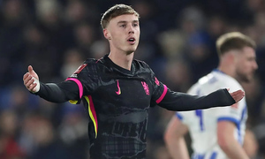 ���� ������