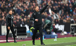 ���� ������