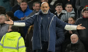 ���� �������� �����