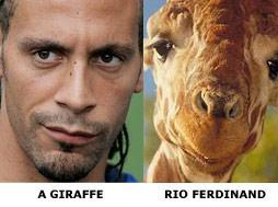 ���������� ������ �� Premiership.Ru