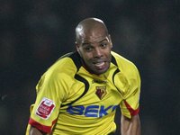 ������ ����