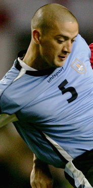 ���� �����